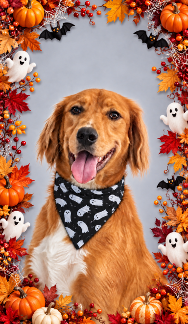 Halloween Ghost Scrunchie Dog Bandana