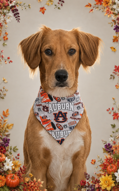 Auburn University - WAR EAGLE!! - Collegiate Collection